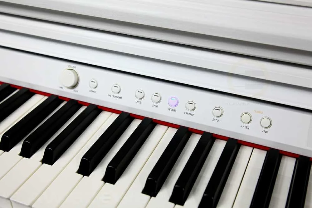 Artesia DP-3+ 88-klavišų elektrinis pianinas, Baltas