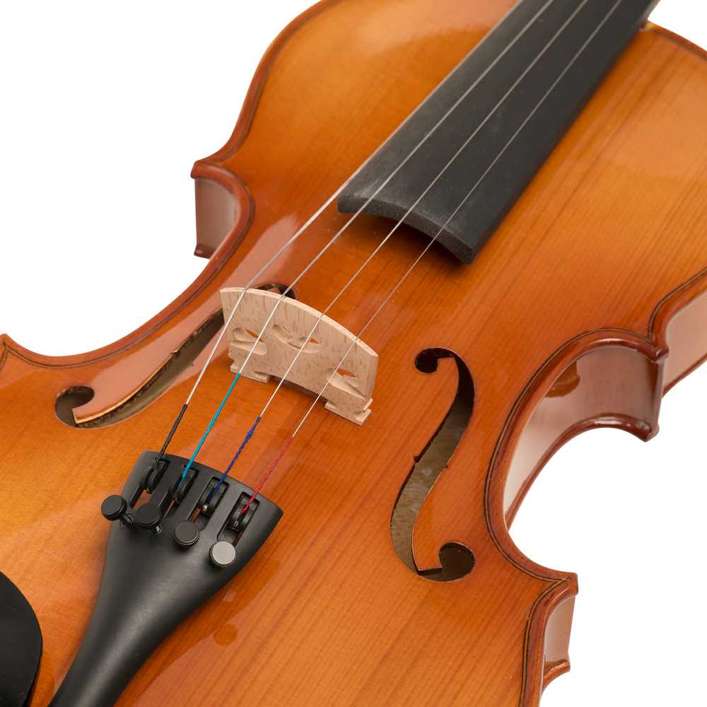 Smuiko komplektas Cascha 4/4 HH 2050