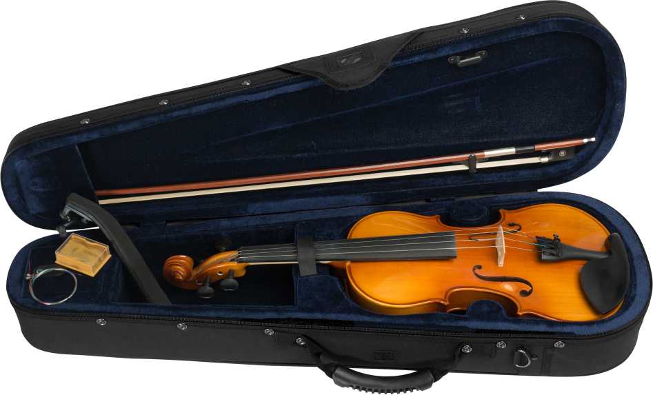 Smuiko komplektas Cascha 4/4 HH 2050