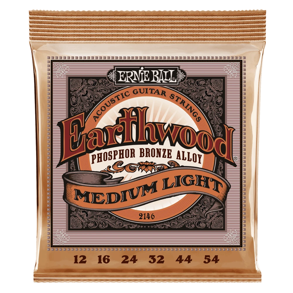 Stygos ak. gitarai Ernie Ball Earthwood vidutinio lengvumo 12 - 54 P02146