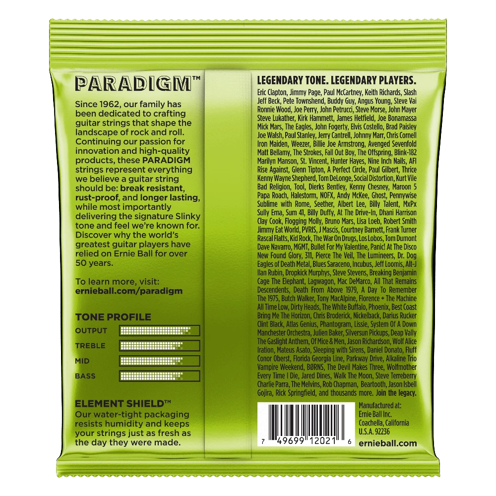 Stygos el. gitarai Ernie Ball Paradigm Regular Slinky 10-46