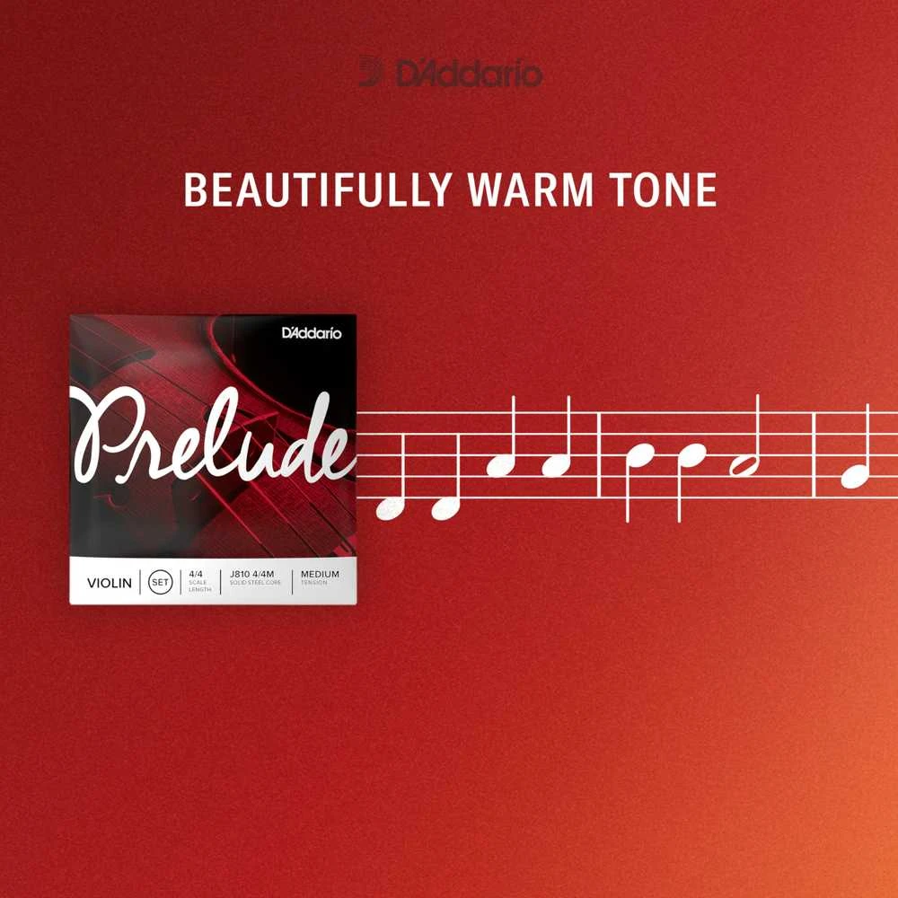 Stygos smuikui 3/4 D'Addario Prelude J810 3/4M