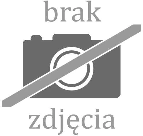 BLOW 8MP IP kamera BL-I8SS40TWM 4 mm baltas kupolinis panoraminis dvigubas objektyvas