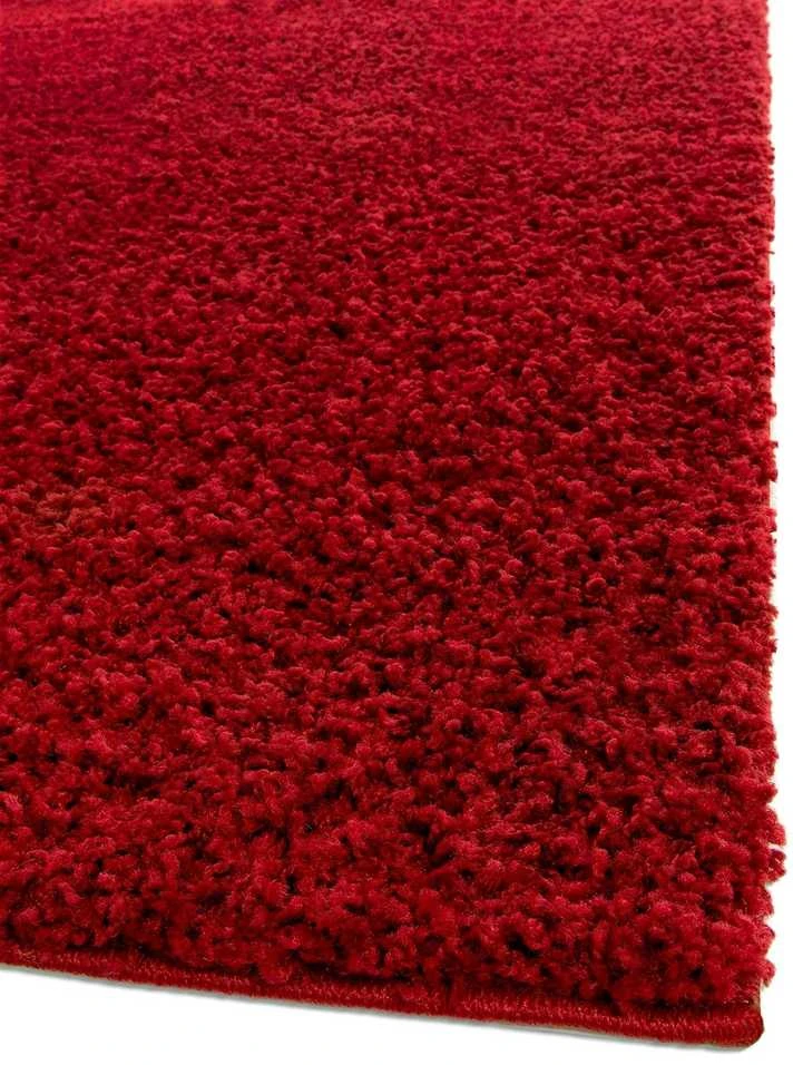 SWIRLS kilimas bordo spalvos klasikinio stiliaus 160x230 Benuta