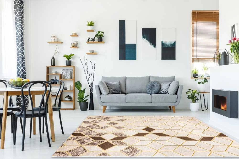 Kilimėlis TREX GEOMETRIC spalvos kreminis 120x170 Hakano