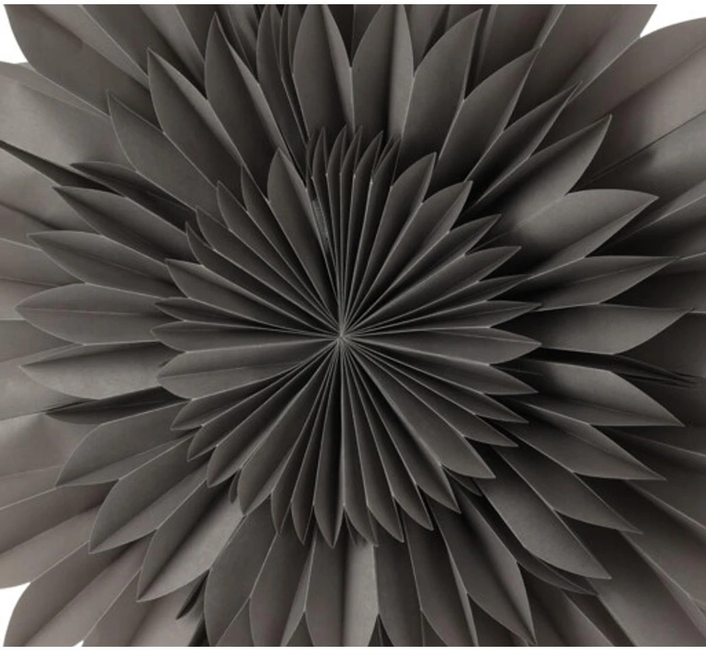 Mondex Popierinė 3D dekoratyvinė žvaigždė 50 cm pilka