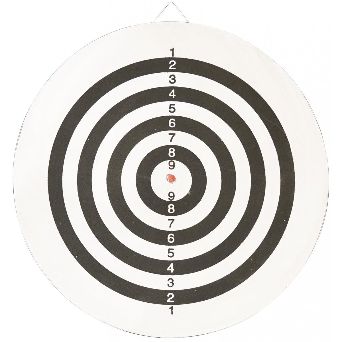 Enero lauko dart lenta 45 cm su 6 strėlytėmis