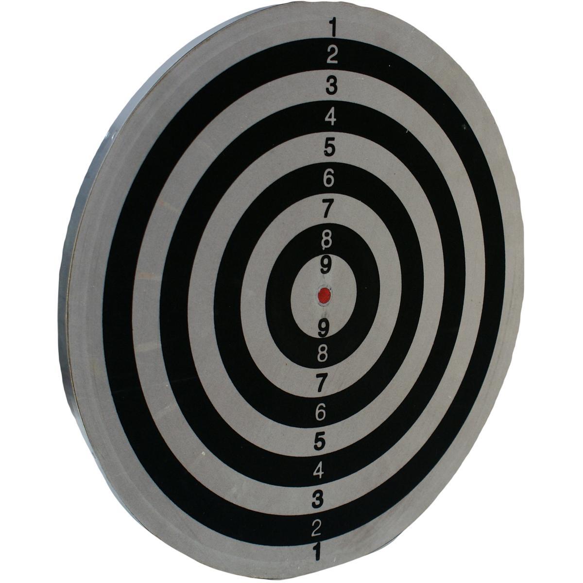 Enero lauko dart lenta 45 cm su 6 strėlytėmis