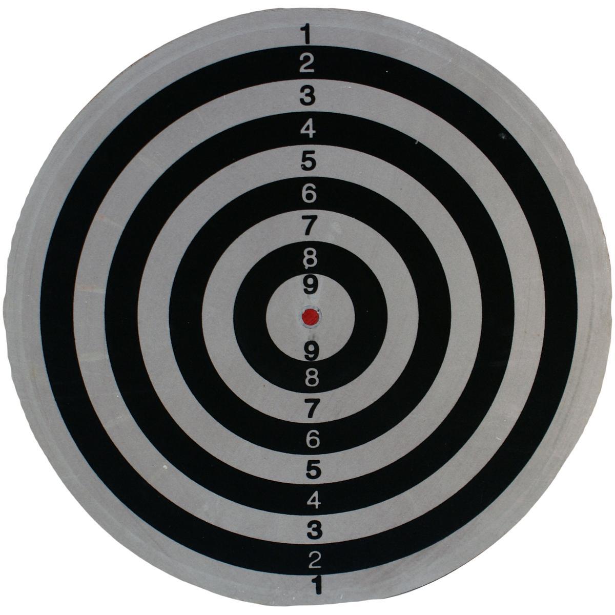 Enero lauko dart lenta 45 cm su 6 strėlytėmis