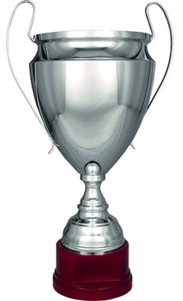 Detal Sidabrinis metalinis T-S puodelis