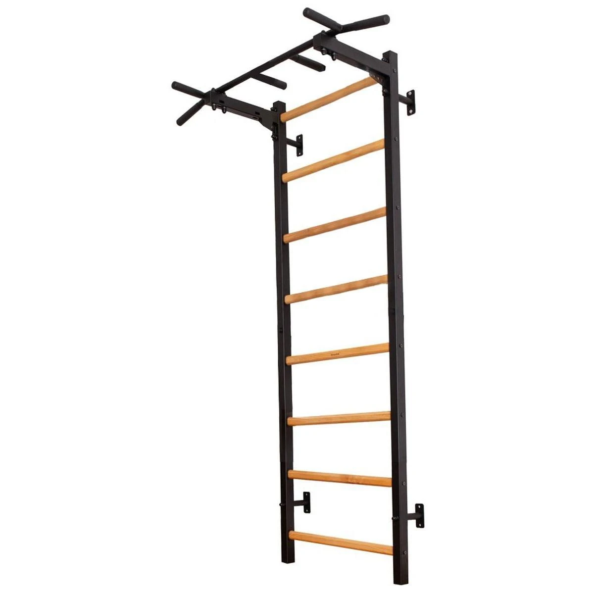 Medinė-metalinė gimnastikos kopėčia BenchK 221B