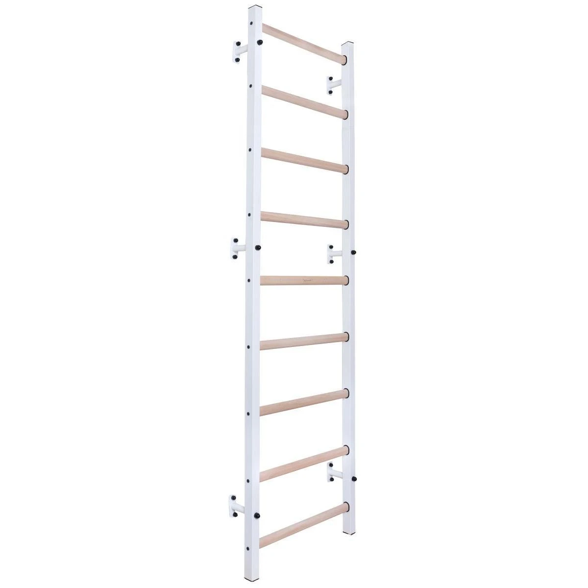 Gimnastikos kopėčios BenchK 700W
