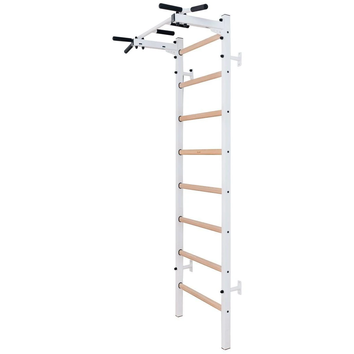 Medinė-metalinė gimnastikos kopėčios BenchK