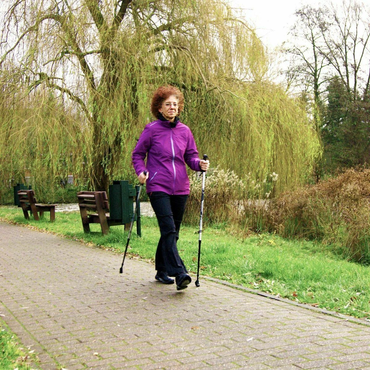 Best Sporting Nordic walking lazdos, dviejų sekcijų