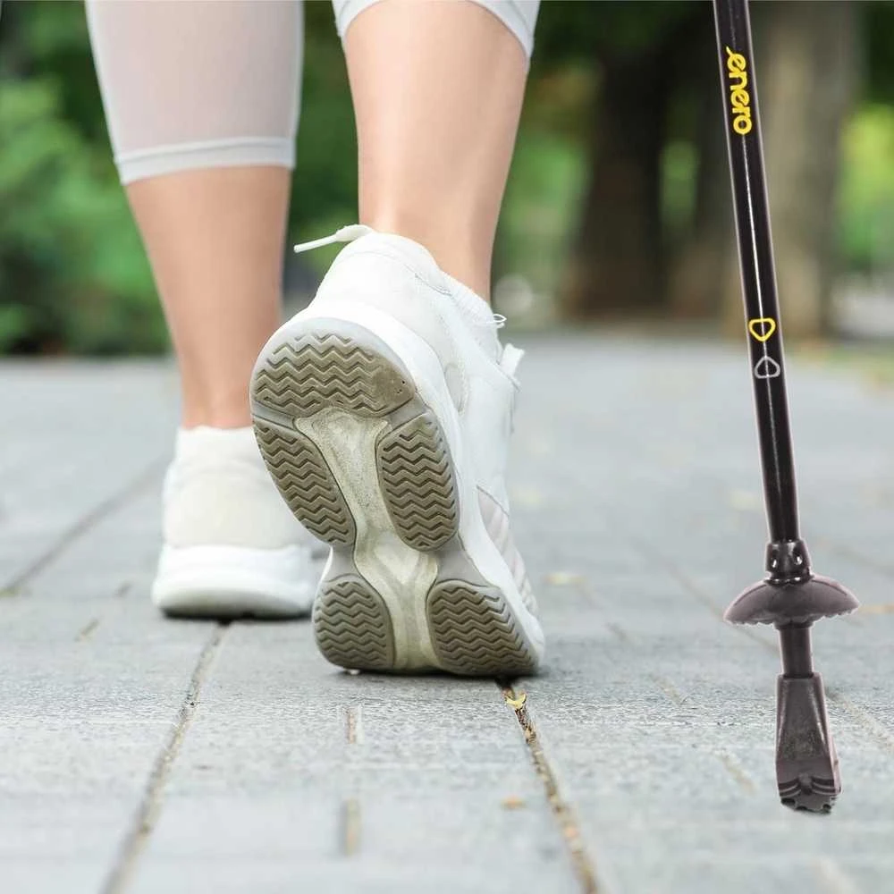 nordic walking lazdos su dėklu enero newicon