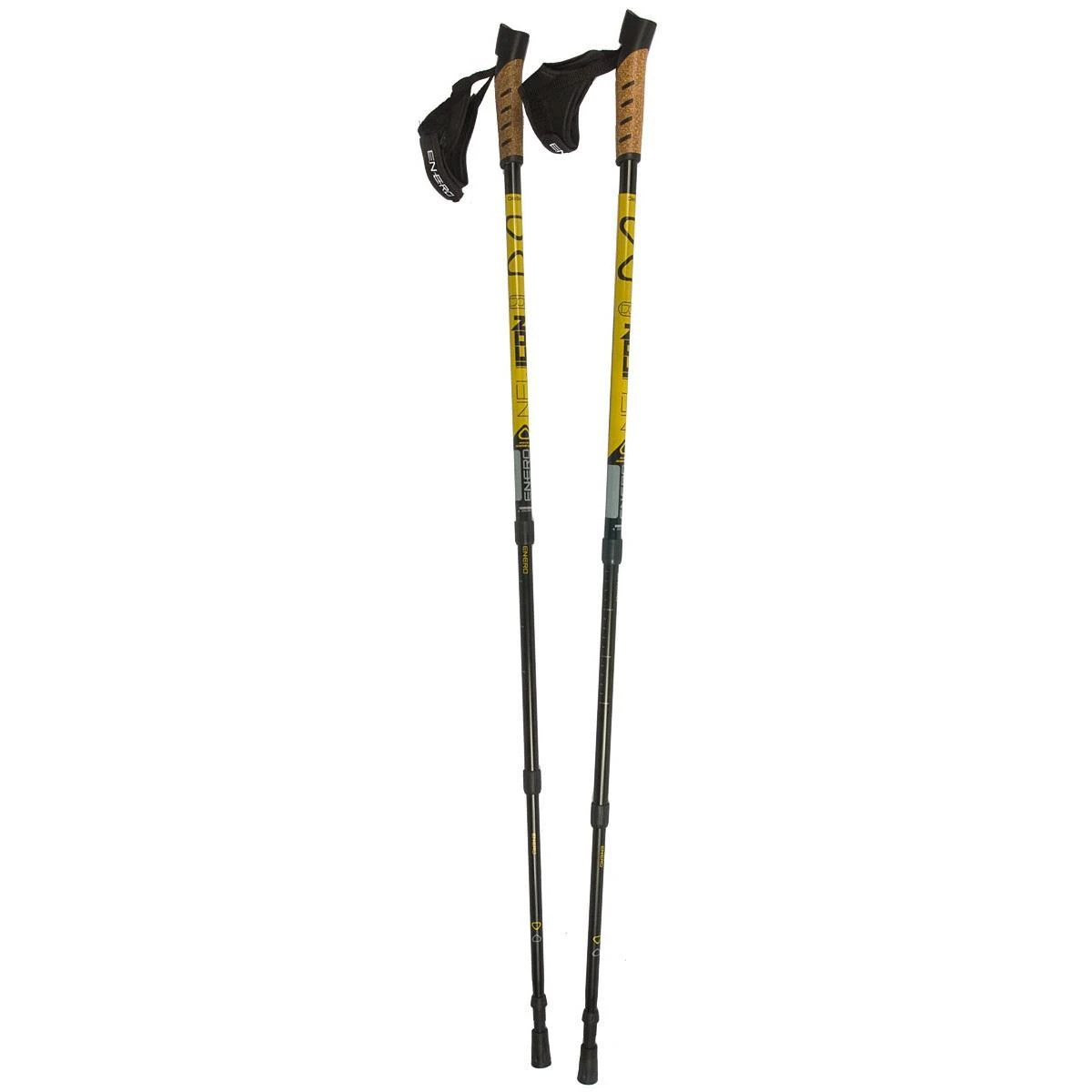 nordic walking lazdos su dėklu enero newicon
