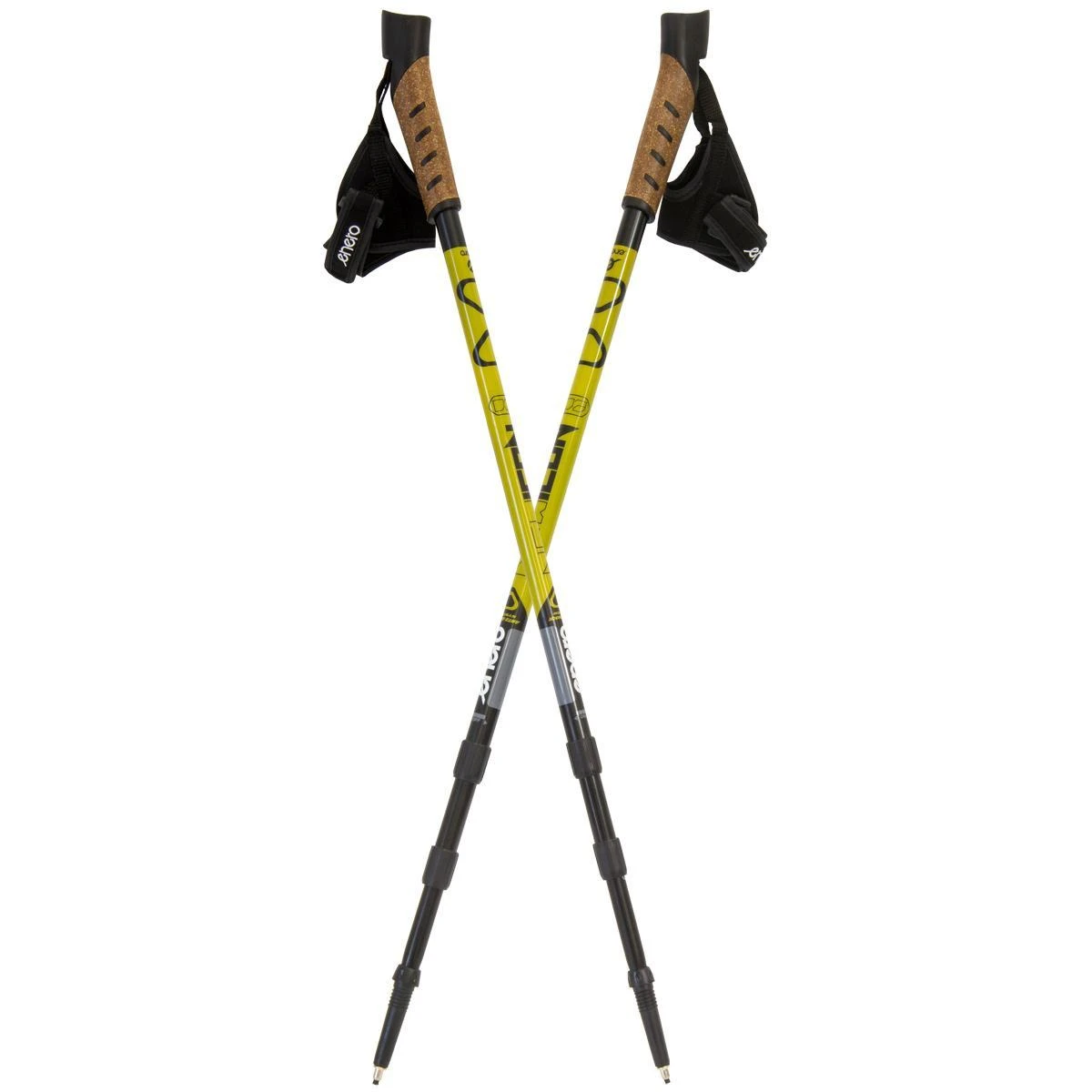nordic walking lazdos su dėklu enero newicon