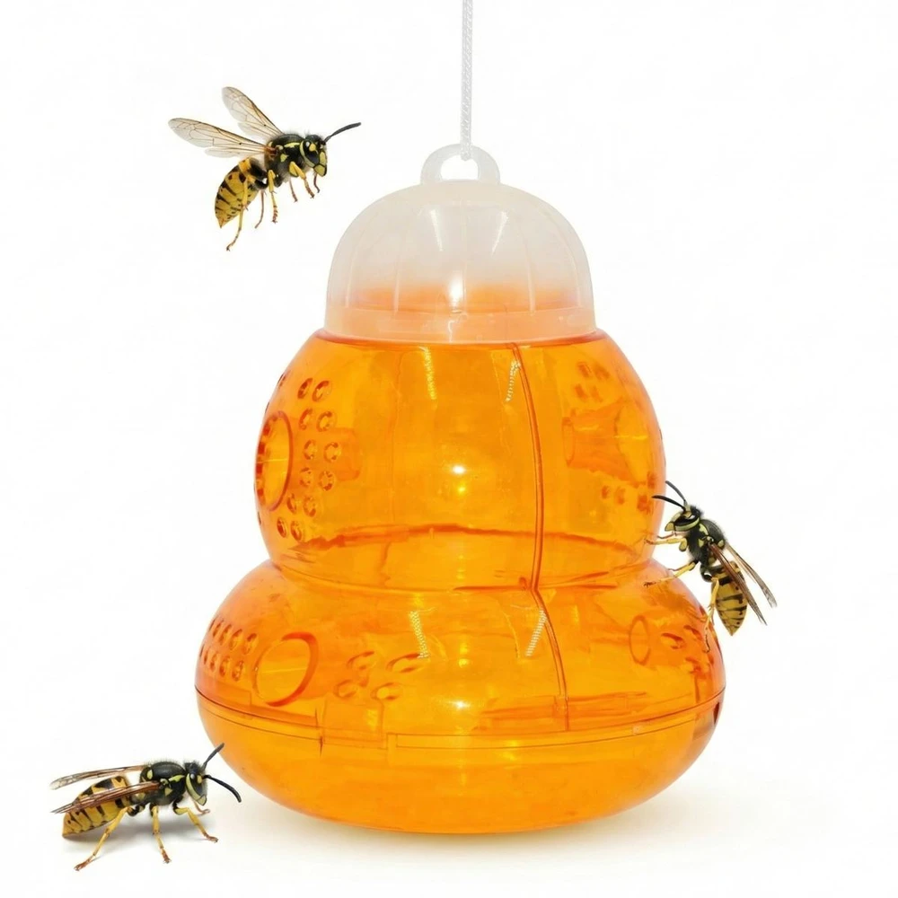 KOOPMAN Apelsininė 15cm gaudyklė vapsvoms