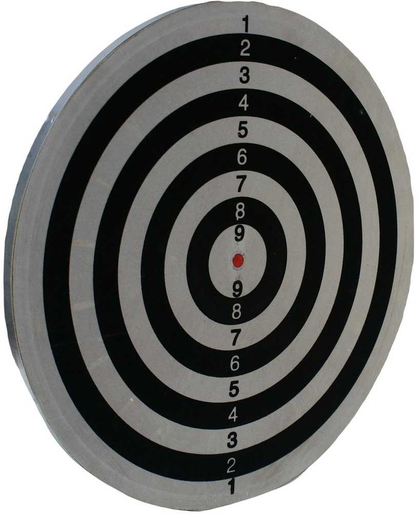 Enero lauko dart lenta 45 cm su 6 strėlytėmis
