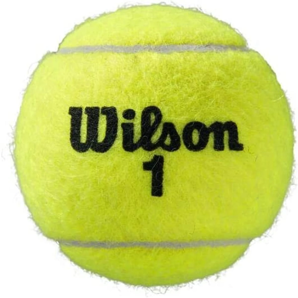 WILSON ROLAND GARROS CLAY COURT (4) teniso kamuoliukai
