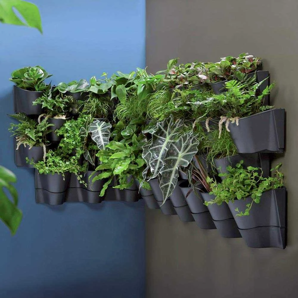 Prosperplast vertikalus kabinamas sodo stovas antracitas