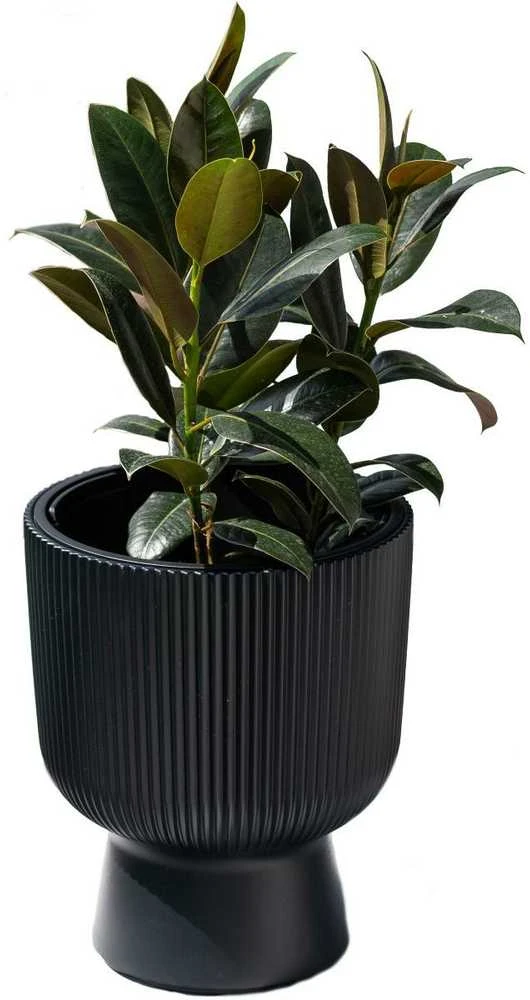 Prosperplast Doniczka Milly vazonas-antracito spalvos DBMIG240-S433, skersmuo 239 mm
