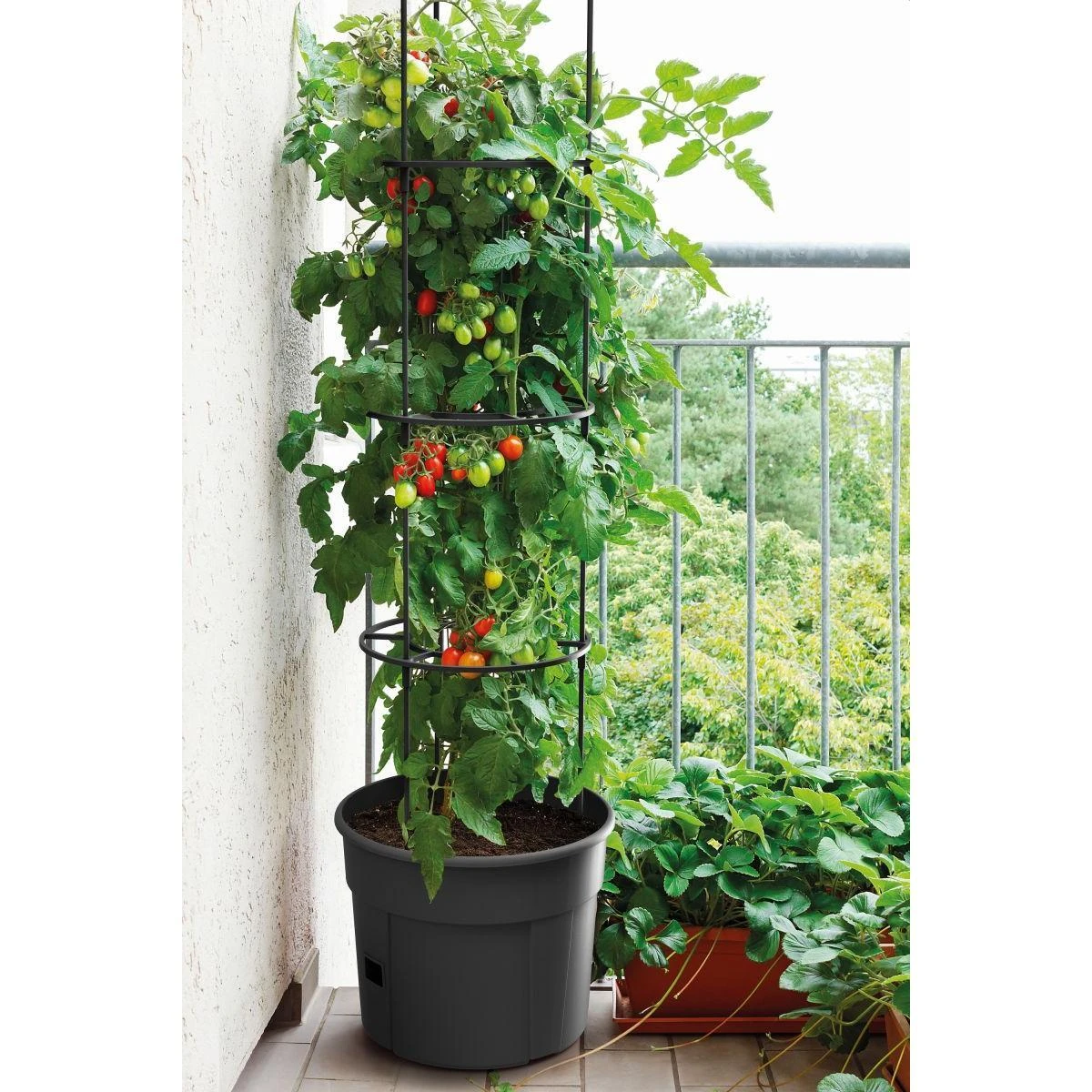 Prosperplast Vazonas Pomidorams Ipom300 24 cm