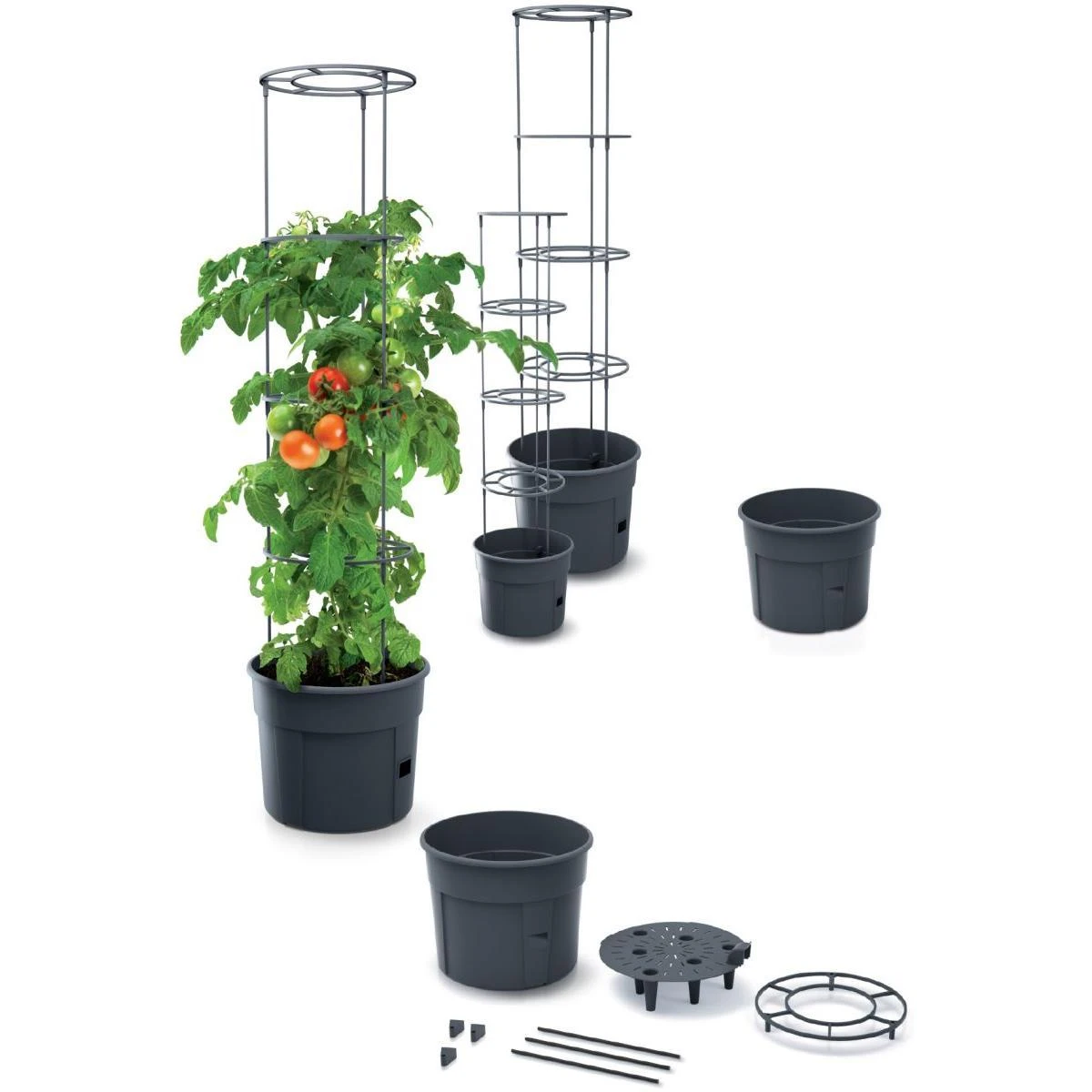 Prosperplast Vazonas Pomidorams Ipom300 24 cm