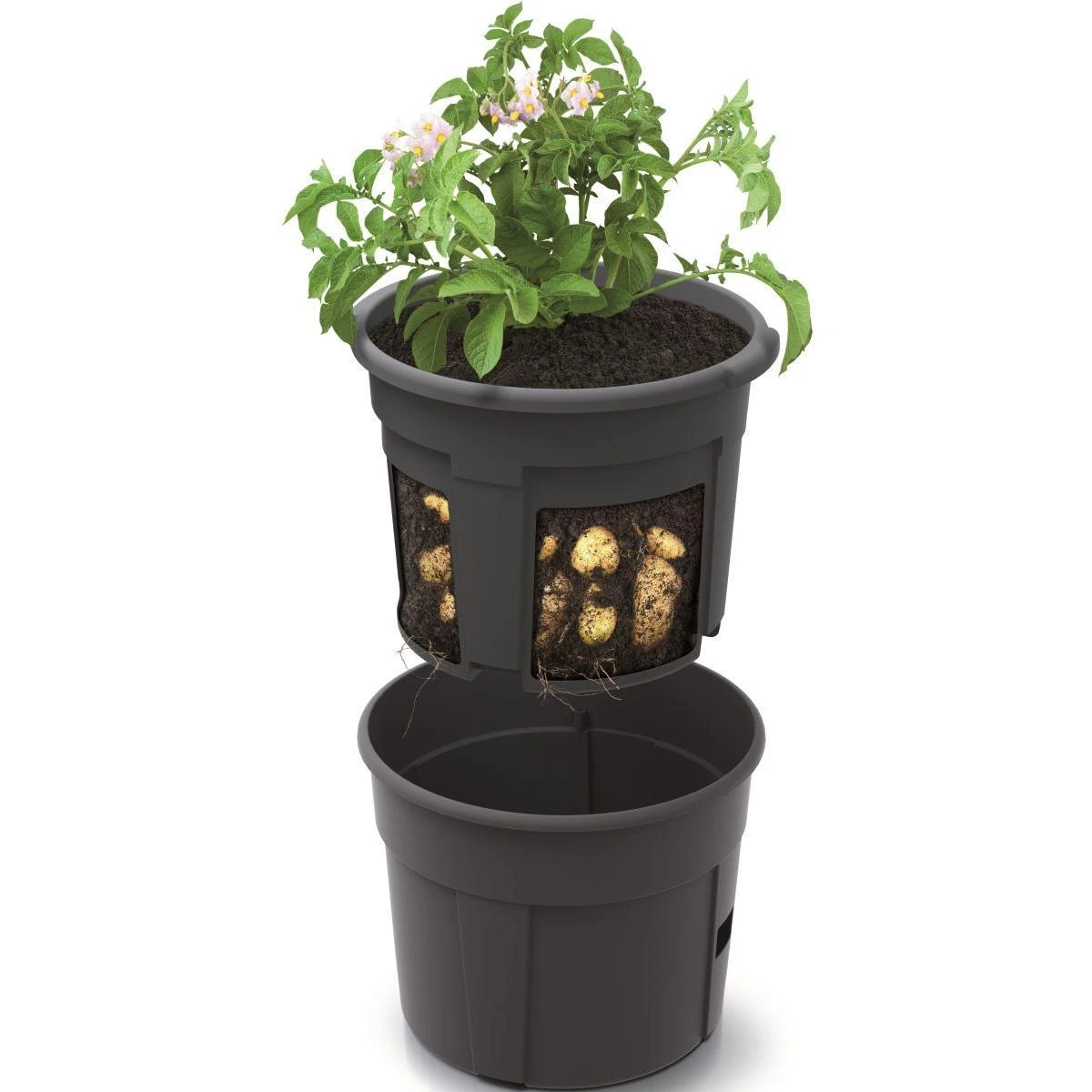 Prosperplast Bulvių sodinimo vazonas 29,5 cm