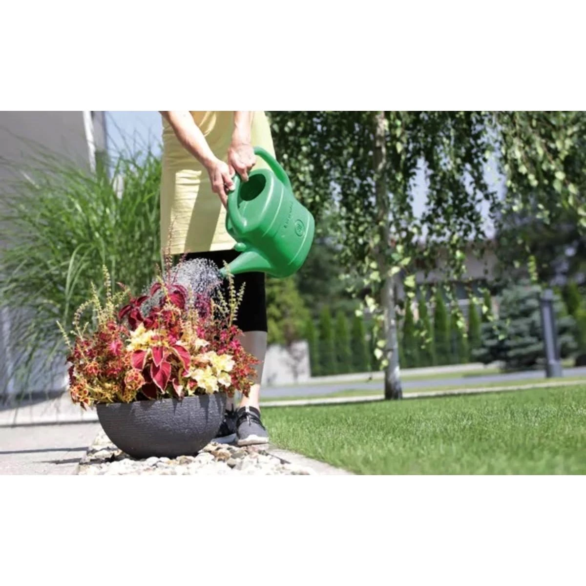 Prosperplast KONEWKA SPRING 5l ZALIA