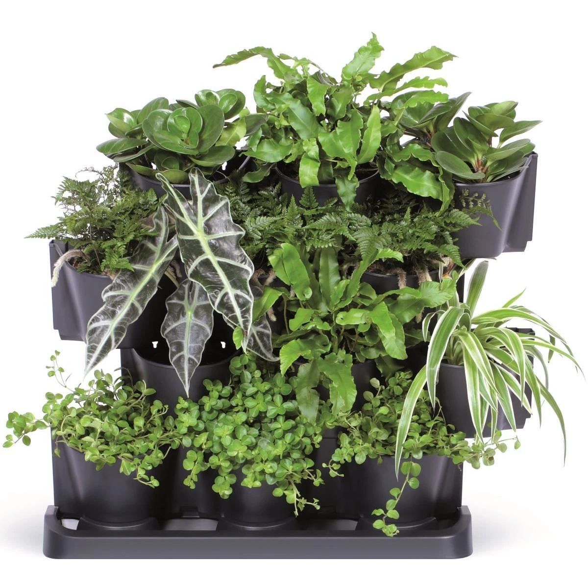 Vertikalūs sodo vazonai Prosperplast Cascade Garden IO2W600S-S433 55cm