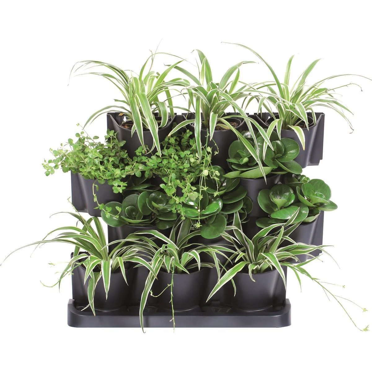 Vertikalūs sodo vazonai Prosperplast Cascade Garden IO2W600S-S433 55cm