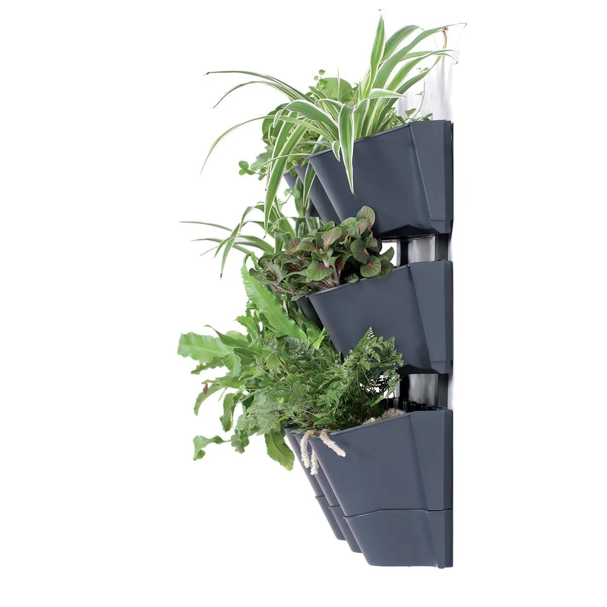 Prosperplast vertikalus kabinamas sodo stovas antracitas
