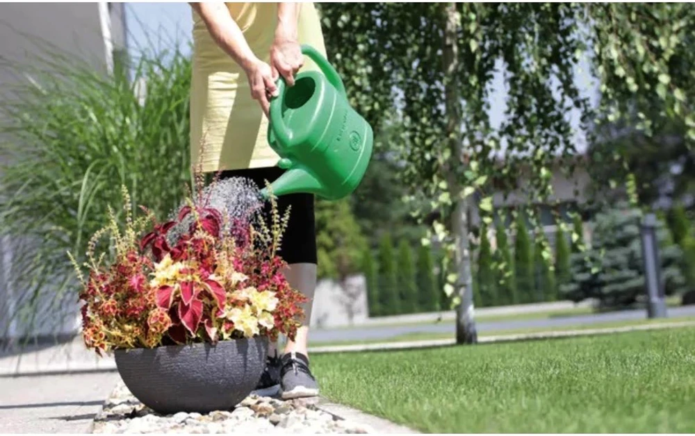 Prosperplast KONEWKA SPRING 10l ŽALIA