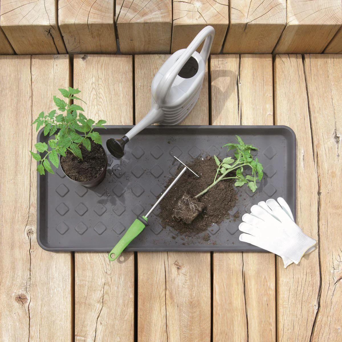 Batų padėkliukas Prosperplast Dry Pad