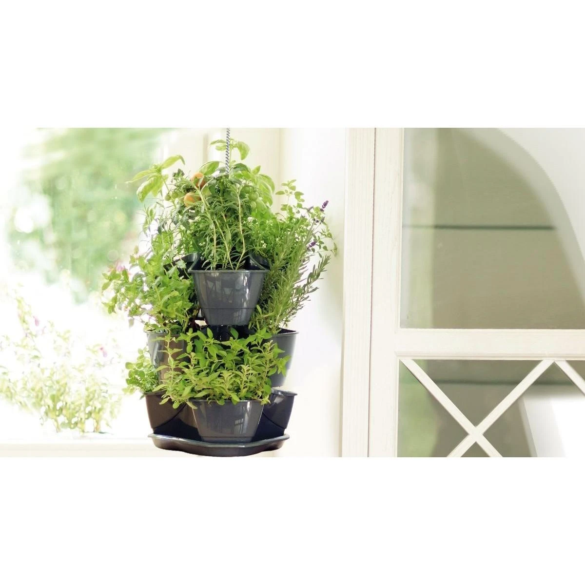 Prosperplast Trigubas puodas žolelėms Coubi Herbal antracitas