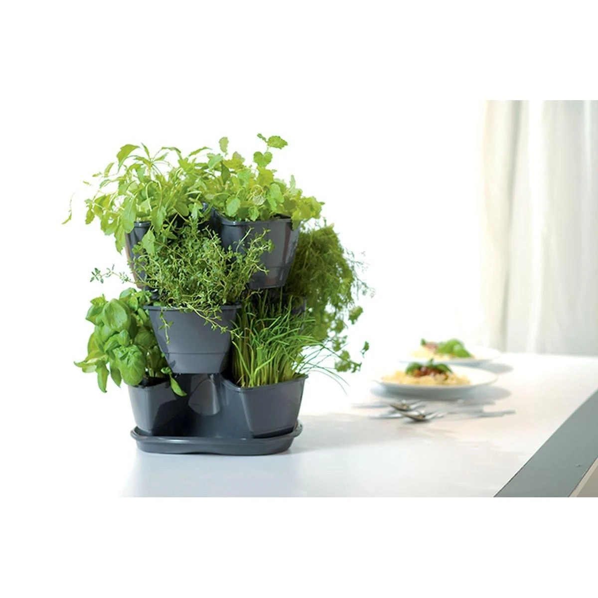 Prosperplast Trigubas puodas žolelėms Coubi Herbal antracitas