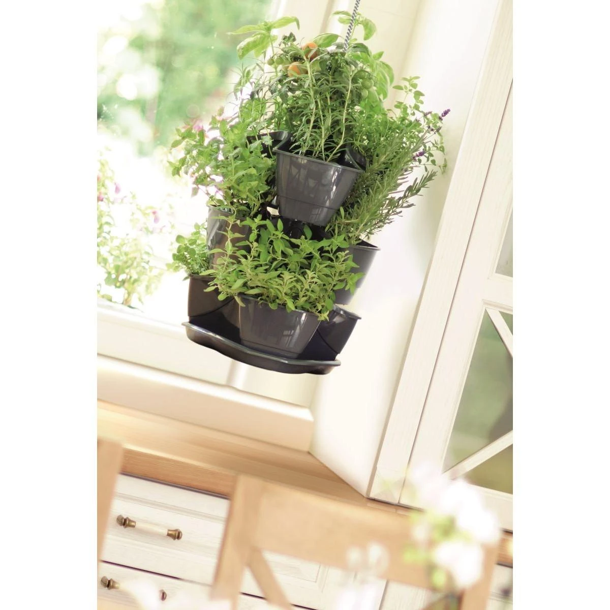 Prosperplast Trigubas puodas žolelėms Coubi Herbal antracitas