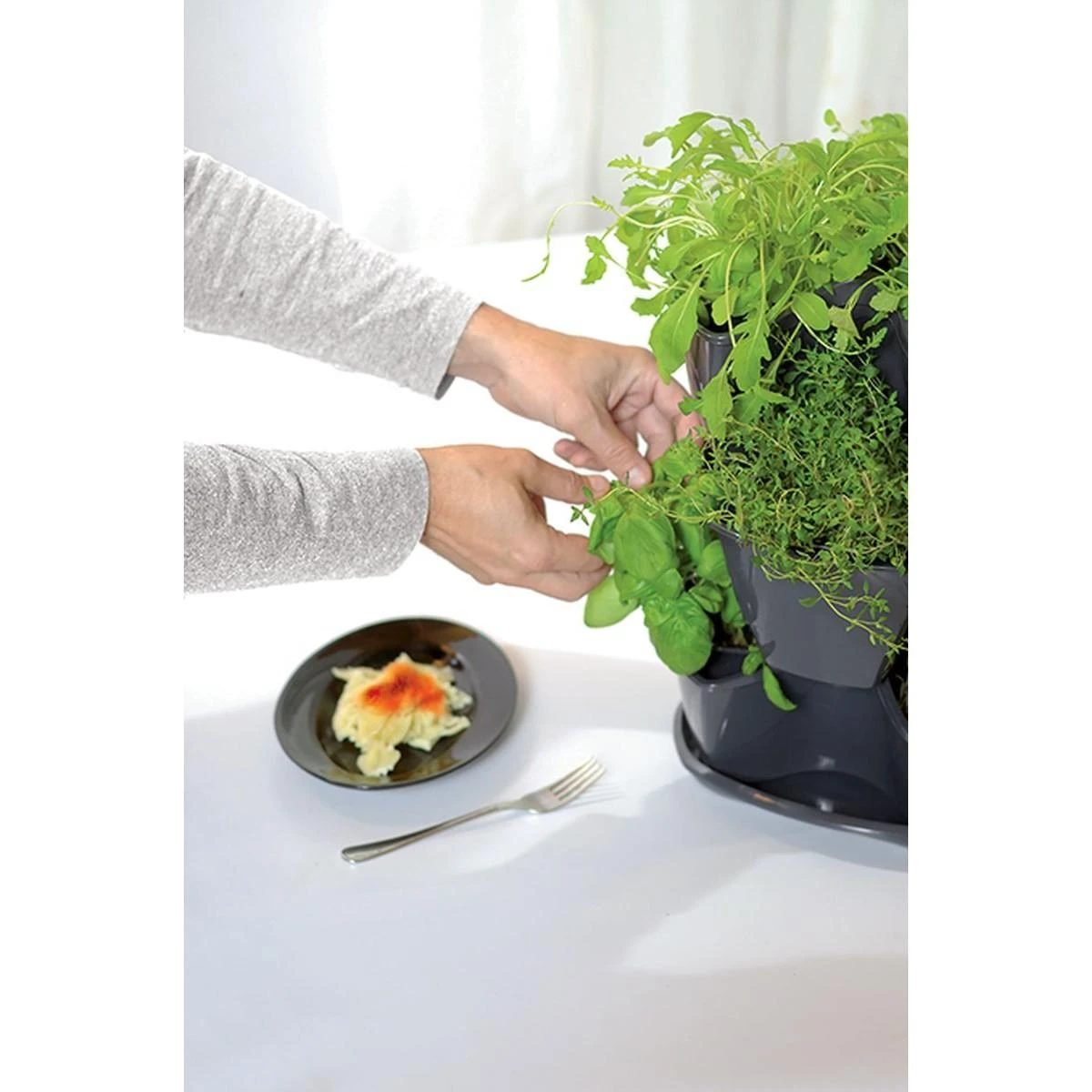 Prosperplast Trigubas puodas žolelėms Coubi Herbal antracitas