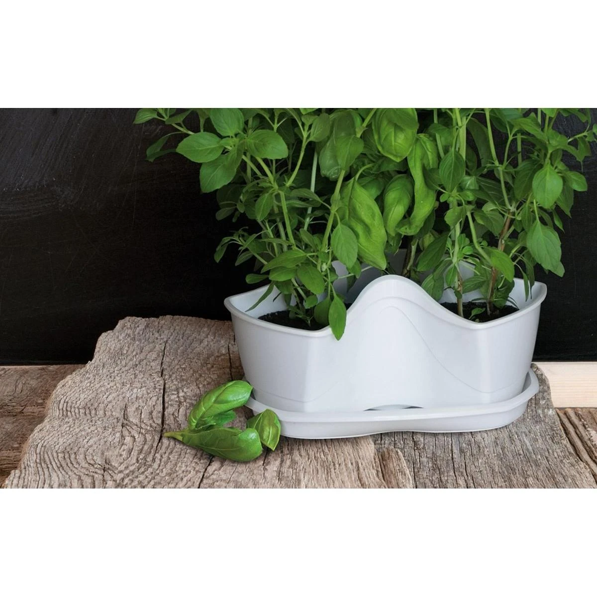Prosperplast Trigubas puodas žolelėms Coubi Herbal antracitas