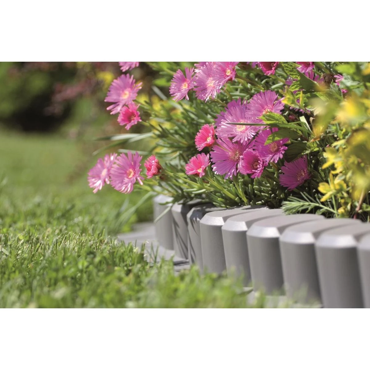Prosperplast PP GARDEN PALISADE 6 RUDA 3,02 m