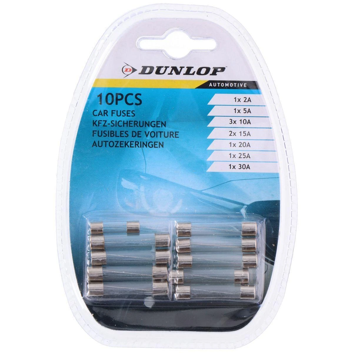 STIKLINIŲ SAUGIKLIŲ RINKINYS DUNLOP 10VNT 2061719