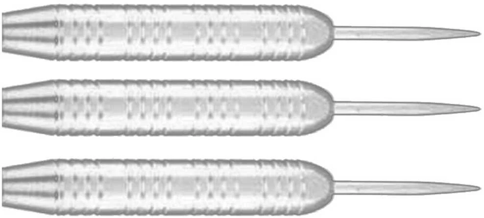 Smiginio strėlytės XQMax Sidabrinis Coated 3x23g