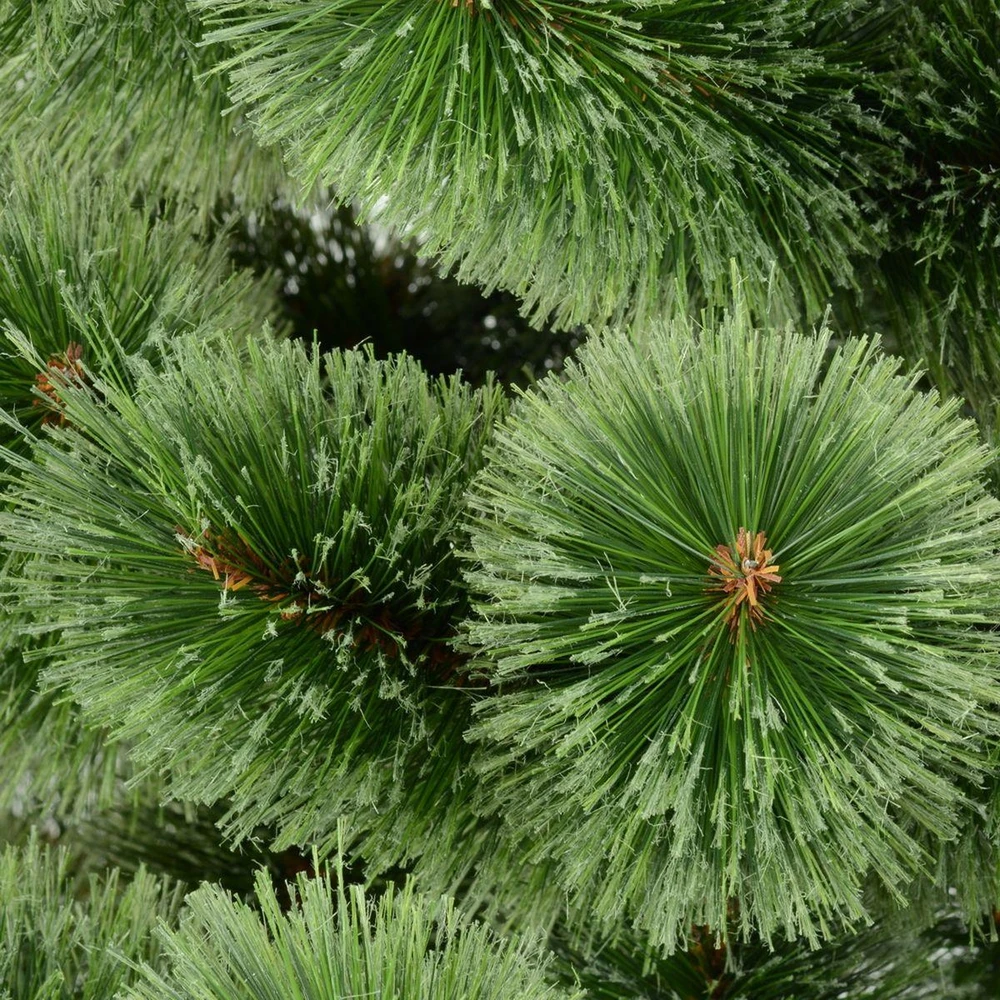 Saska Garden Kalėdinė eglutė su lynu Klara padalinta 200 cm