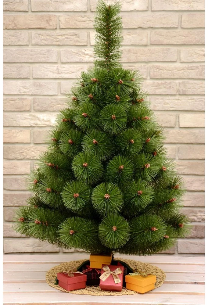 Saska Garden KLAROS KALĖDŲ EGLĖLĖ, NETURINTA, 70cm