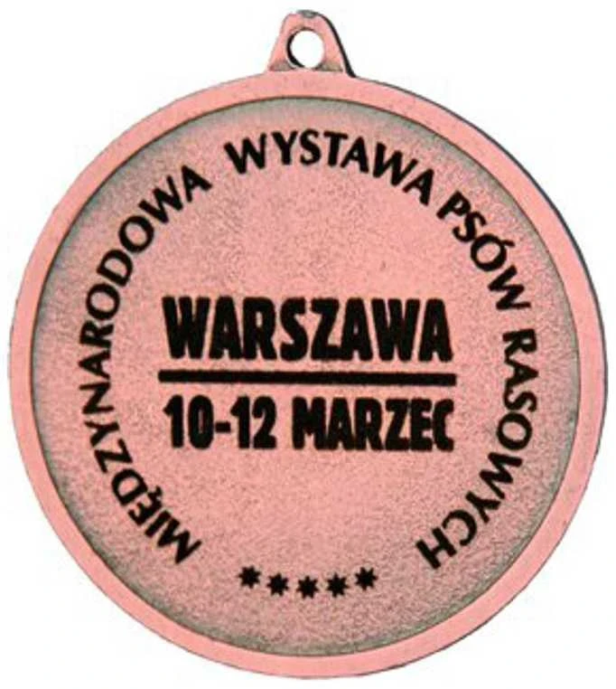 Tryumf Bronzinis medalis su vieta emblemai 50 mm - lazeriu graviruotas plieno medalis - RMI