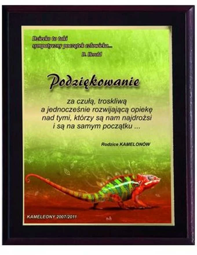 Tryumf Plastikinis diplomas su spalvotu touch laminatu