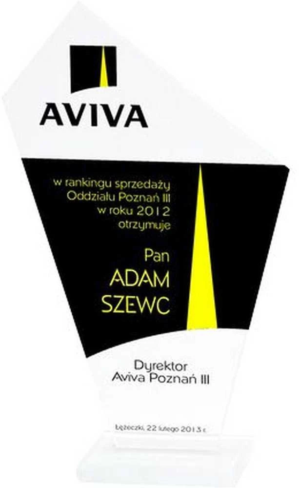Tryumf Graviruotas stiklo trofėjus + dažų užpildas