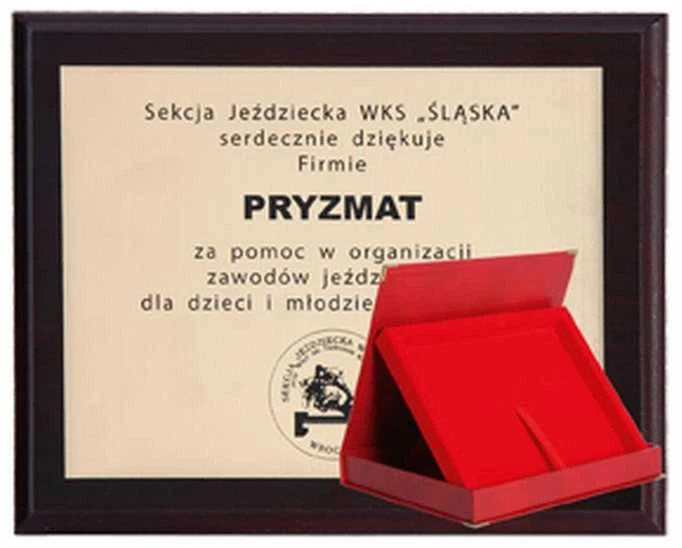 Tryumf Plastikinis diplomas su graviruotu laminatu + dėklas 250x200 mm
