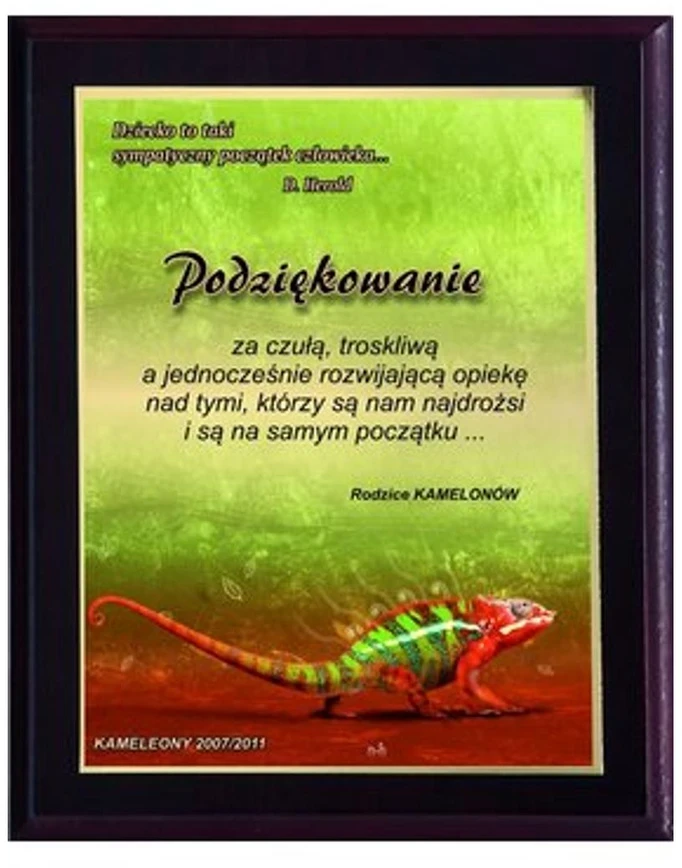 Tryumf Plastikinis diplomas su spalvotu touch laminatu